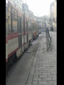 Фотофакт: Во Львове из-за ДТП столпилось 8 трамваев