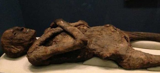 Охранник музея изнасиловал египетскую мумию