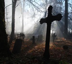 В Запорожской области на кладбище нашли не закопанный труп