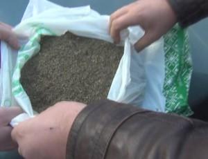Житель области пытался увезти в Россию «травку» с запахом кофе