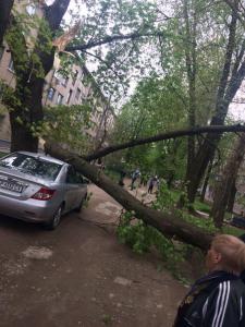 В Запорожье люди Буряка угрожали медикам «скорой» из-за упавшего дерева