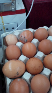 В запорожском супермаркете продаются просроченные яйца (ФОТО)