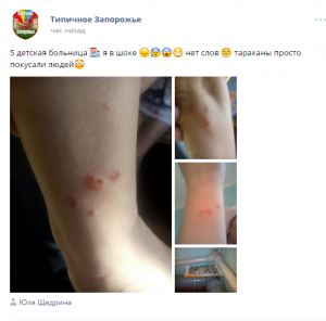 В запорожской больнице ребенка покусали тараканы, — соцсети