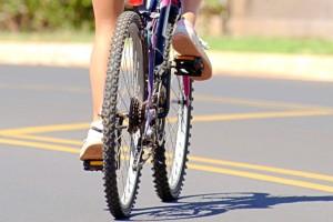В Запорожье пересчитают любителей и профессионалов велосипедного спорта