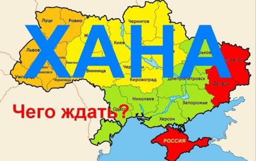 Новороссия/Украина: что дальше?