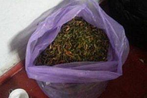 В Днепропетровской области полицейские изьяли больше 200 кг марихуаны (Фото)