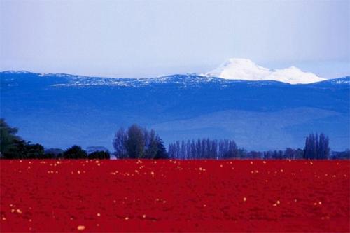 России чего не нужно