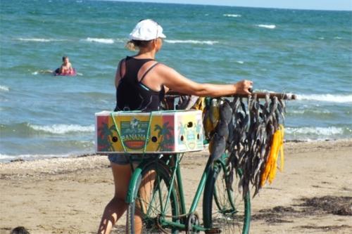 Бежавшие из Крыма заукраинцы торгуют вареной кукурузой на херсонских пляжах