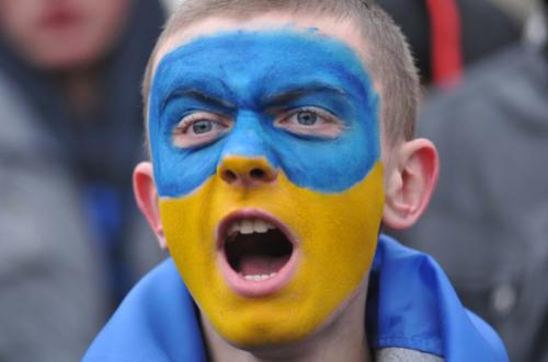 Шведских болельщиков пугали украинской Африкой: митинги, бешенство, гепатит