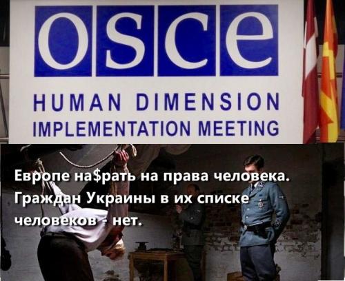 Европейские ценности: ОБСЕ покрывало пыточные тюрьмы в Мариуполе с 2014 года