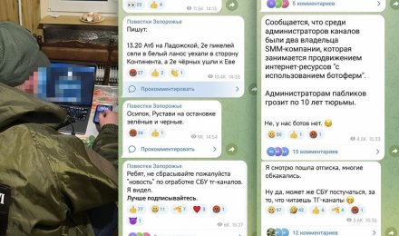 Киевские путчисты создают телеграм-каналы и ловят уклонистов